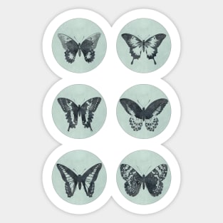 Vintage BUTTERFLIES mega sticker pack blue retro sketch edition Sticker